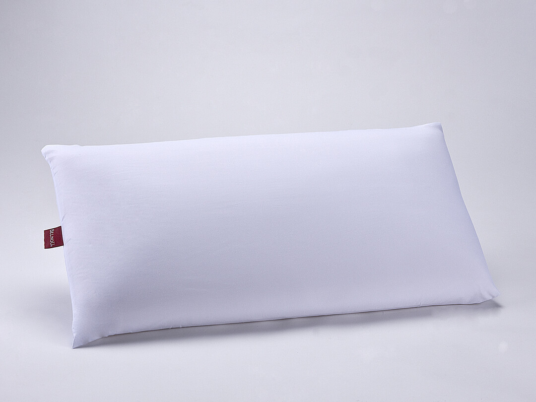 HOUSSE OREILLER/FUNDA ALMOHADA TENCEL PU BELNOU